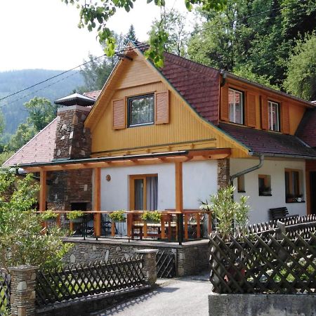 Ferienhaus Bauer Wohnung 2 Trattenbach  Kültér fotó