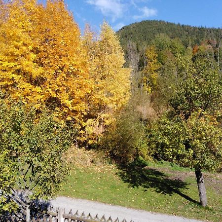 Ferienhaus Bauer Wohnung 2 Trattenbach  Kültér fotó