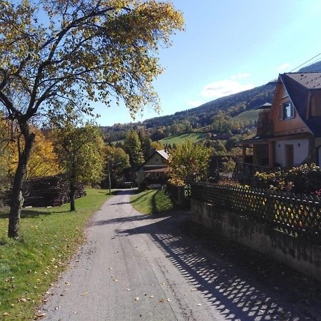 Ferienhaus Bauer Wohnung 2 Trattenbach  Kültér fotó
