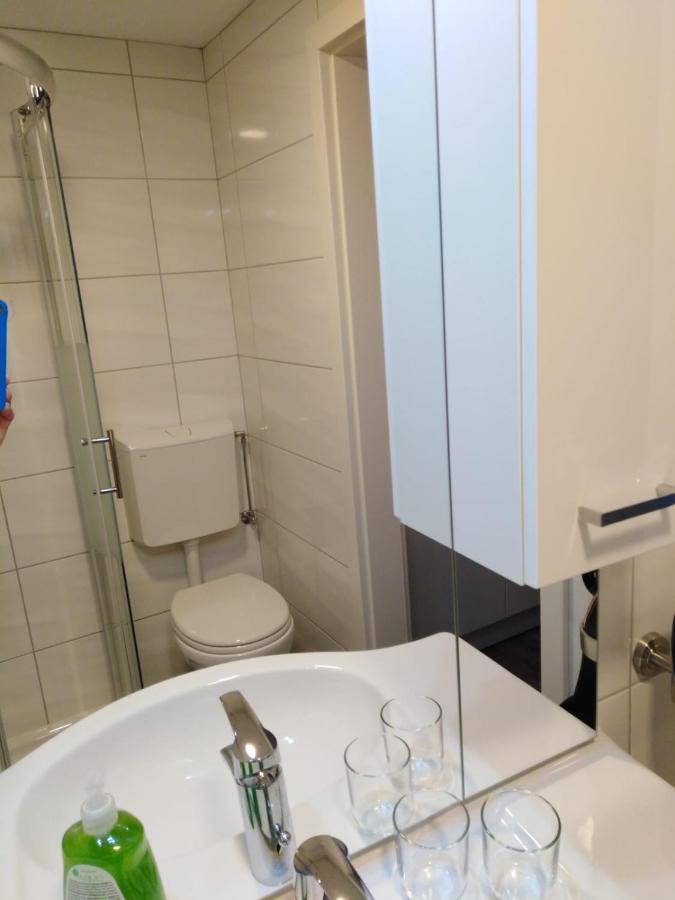 Ferienhaus Bauer Wohnung 2 Trattenbach  Kültér fotó